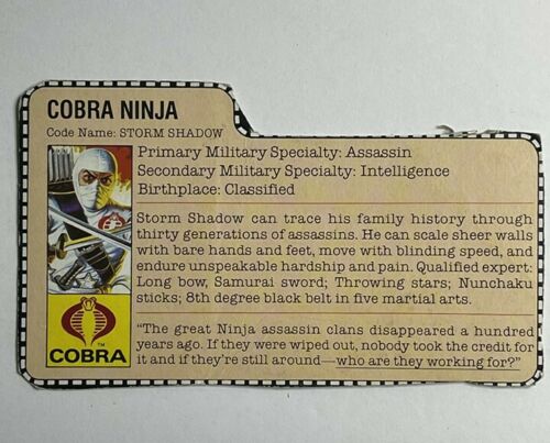 GI Joe A Real American Hero STORM SHADOW! 100% complete with filecard! 1984