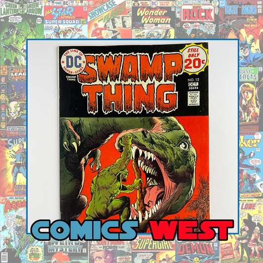 SWAMP THING #12 - Two copies - Eternity Man! Nestor Rodondo cover! 1974